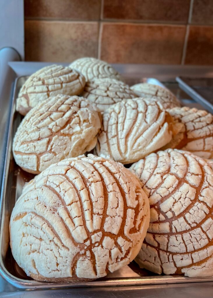 A tray of freshly baked conchas showcasing the classic Mexican sweet bread's pattern and texture.
